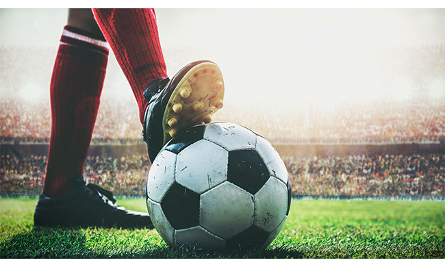 Mantova calcio, c’è tanta voglia di puntare alla serie cadetta