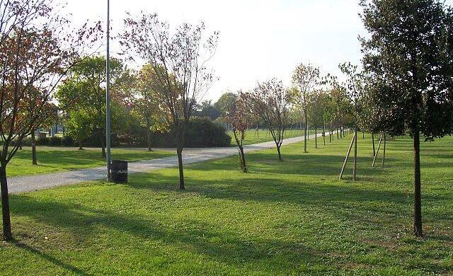 Webinar: I nuovi Criteri Ambientali Minimi per l’appalto di gestione del verde urbano